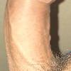 foto do perfil hsafadobi